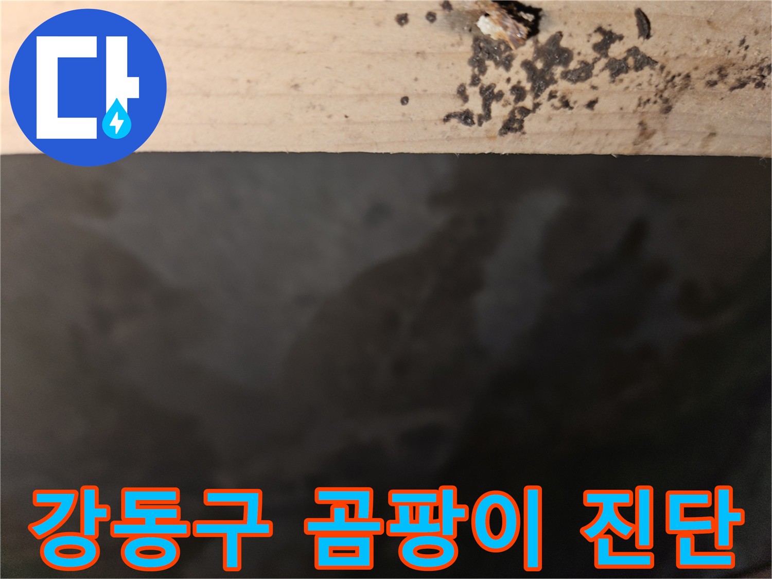 강동구 누수 - 곰팡이 누수 원인 진단 - 확실한 해결 약속