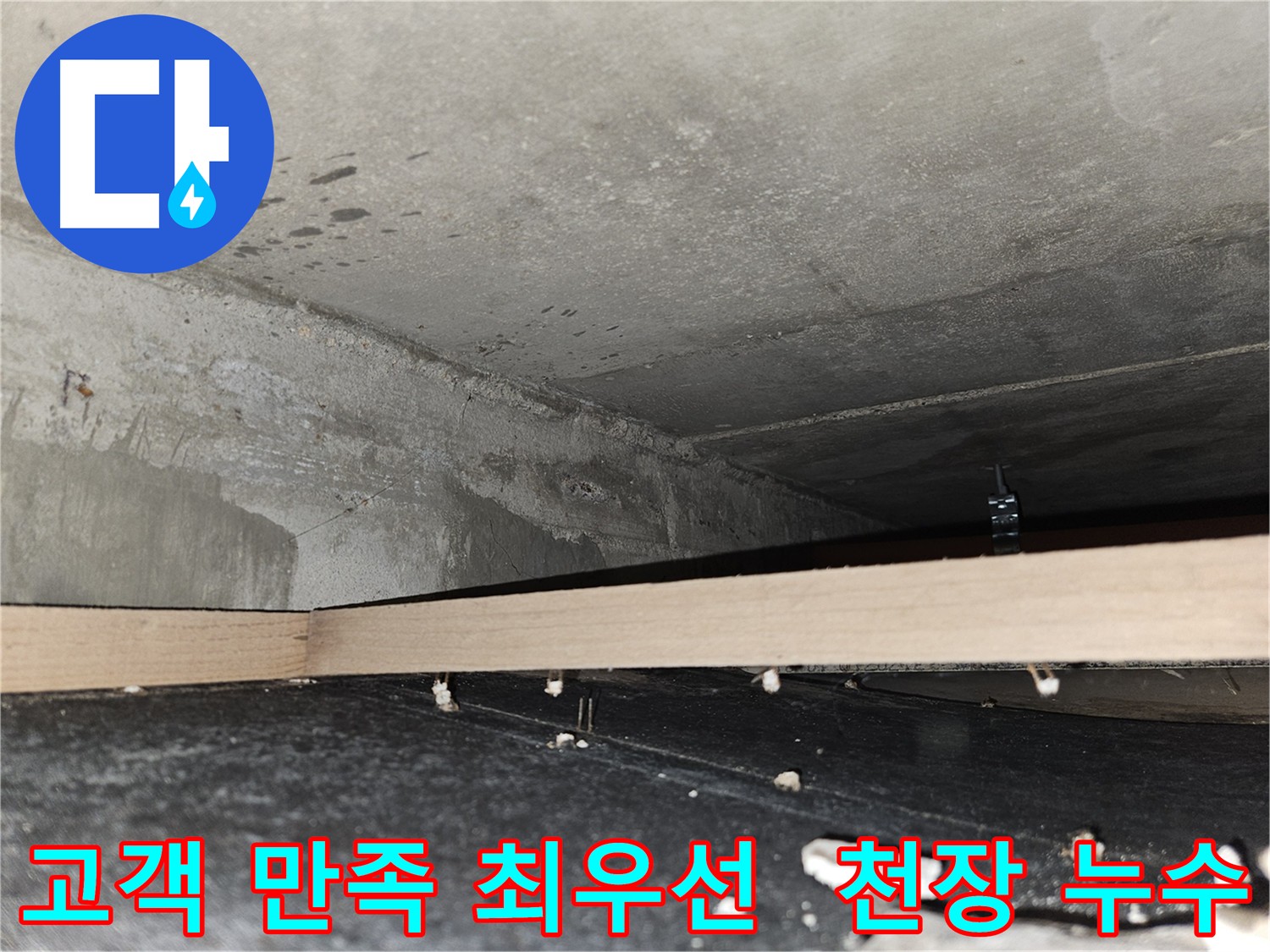 천호 누수 탐지 - 문제 핵심 파악을 위한 꼼꼼한 점검