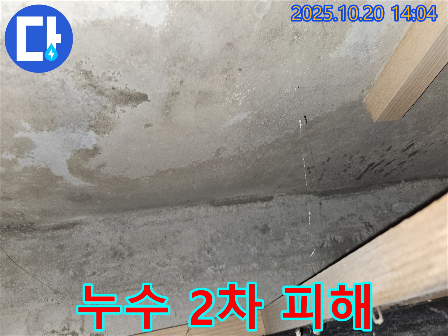 누수 2차 피해 - 곰팡이 발생