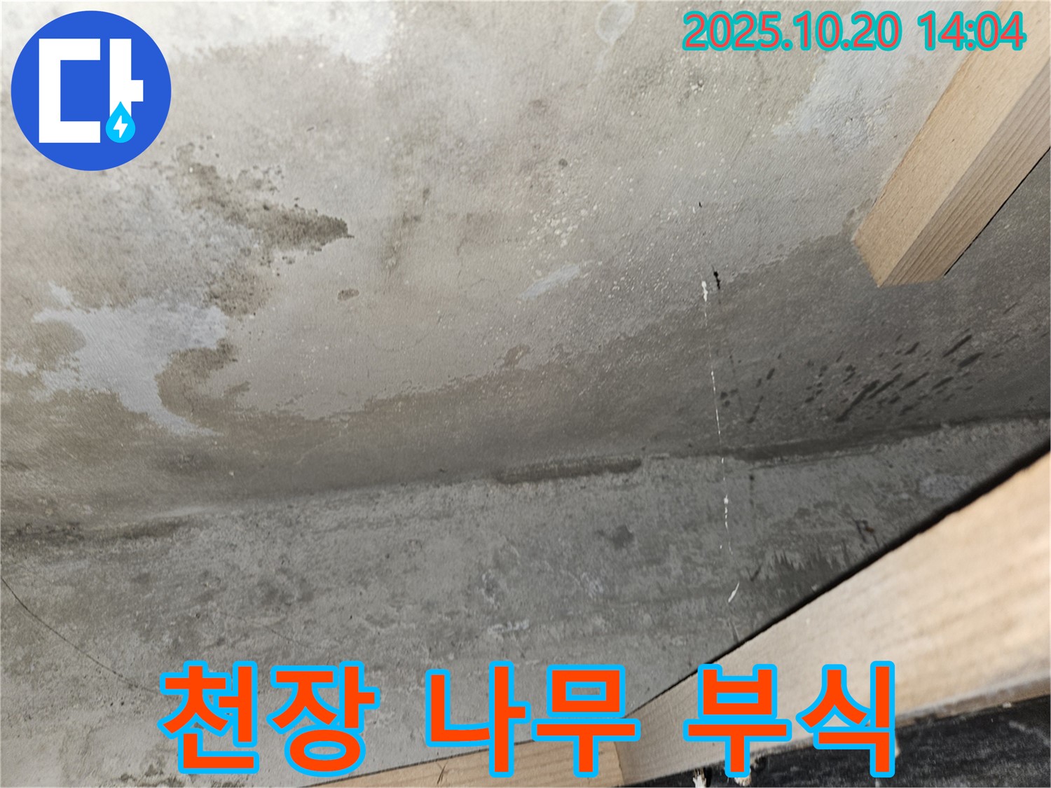 천장 나무 부식 - 안전 문제