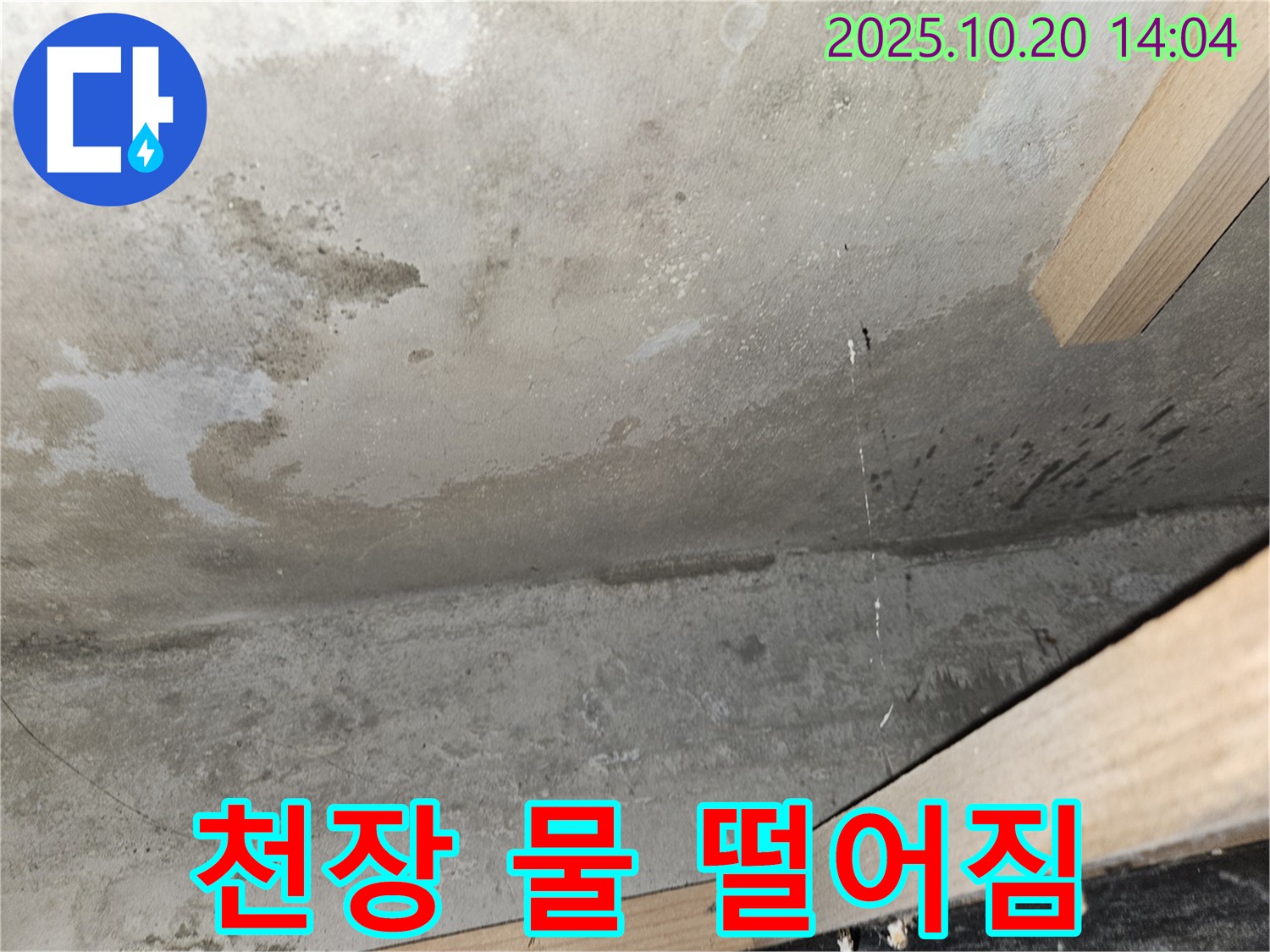 천장 물 떨어짐 - 긴급 누수 상황