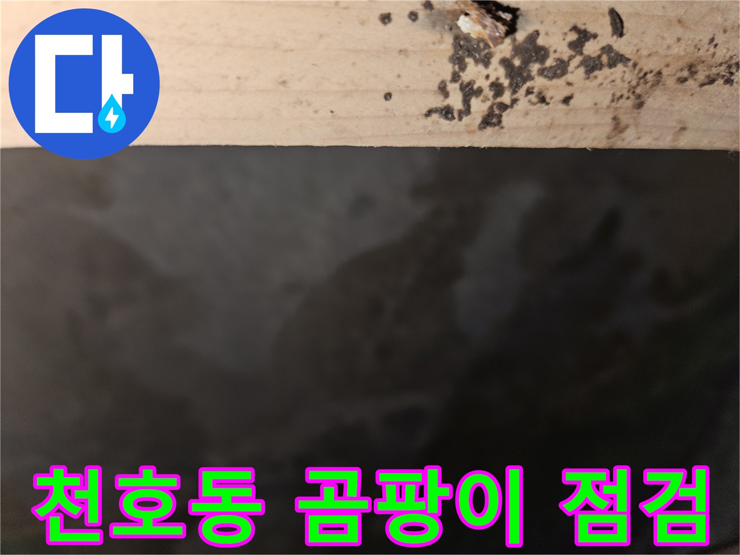 강동구 천호동 누수 - 곰팡이 가능성 점검 - 꼼꼼한 진단