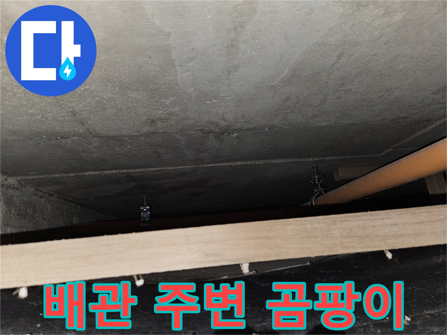 배관 주변 곰팡이 - 누수 및 습기 문제 의심
