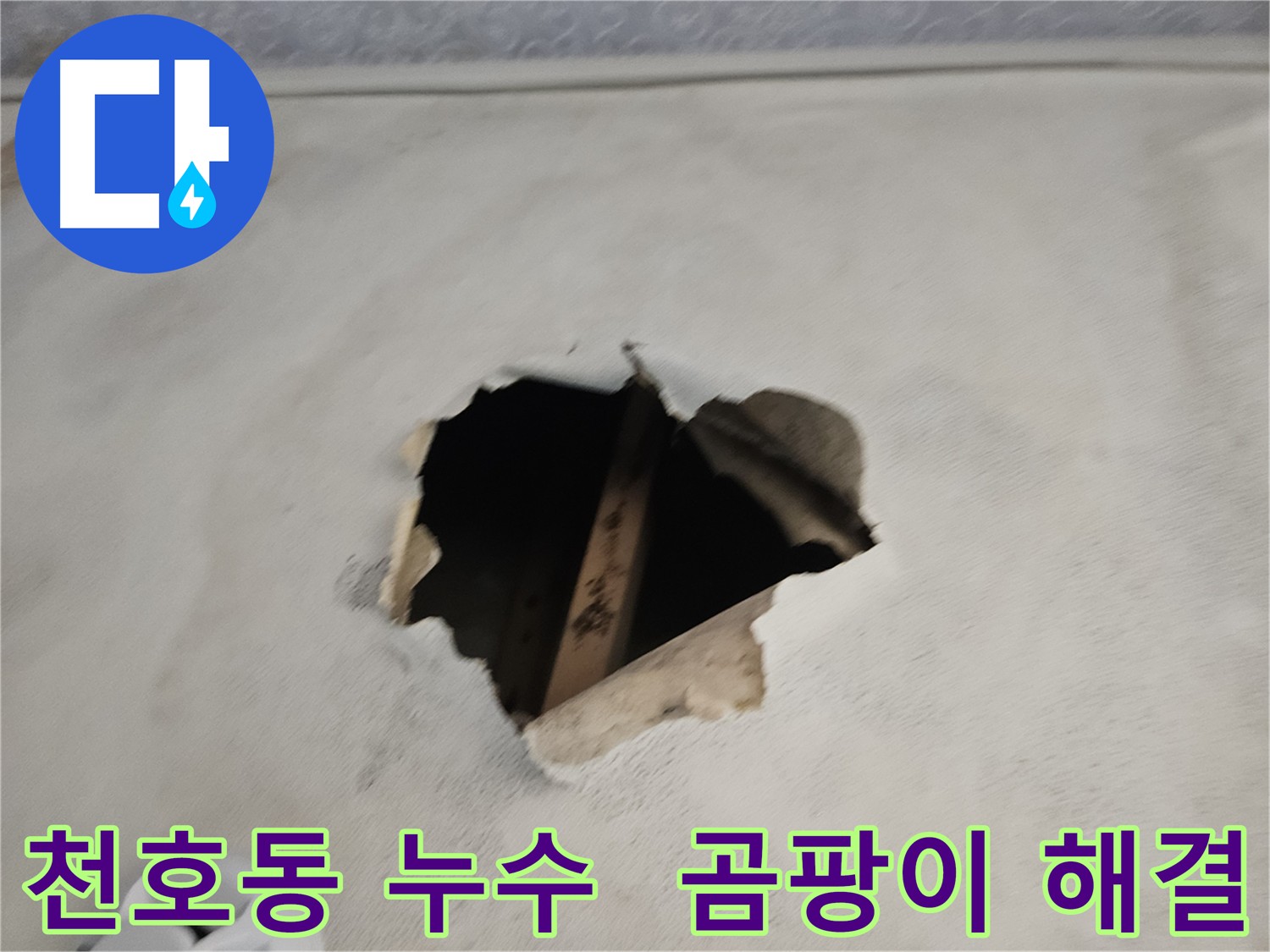 누수와 곰팡이 - 건강에 해로운 실내 환경