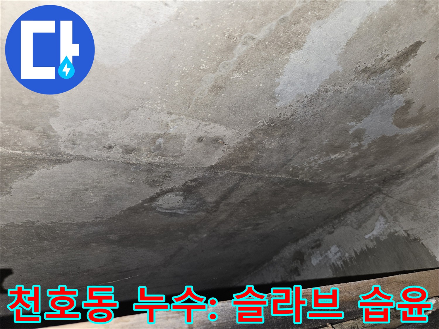 강동구 천호동 아파트 슬라브 누수 - 초기 단계, 정확한 진단 필요