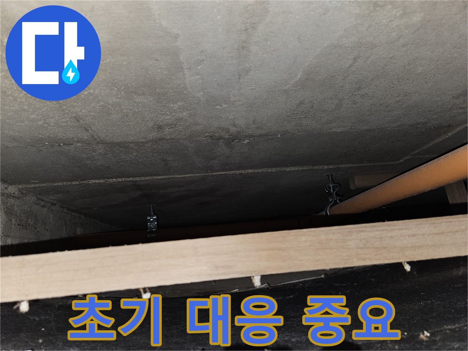 천장 얼룩 - 아파트 누수 초기 증상, 신속한 점검 및 대응 필요