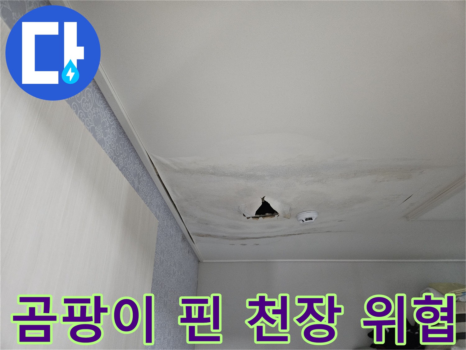 천호동 누수 - 곰팡이가 심하게 핀 천장