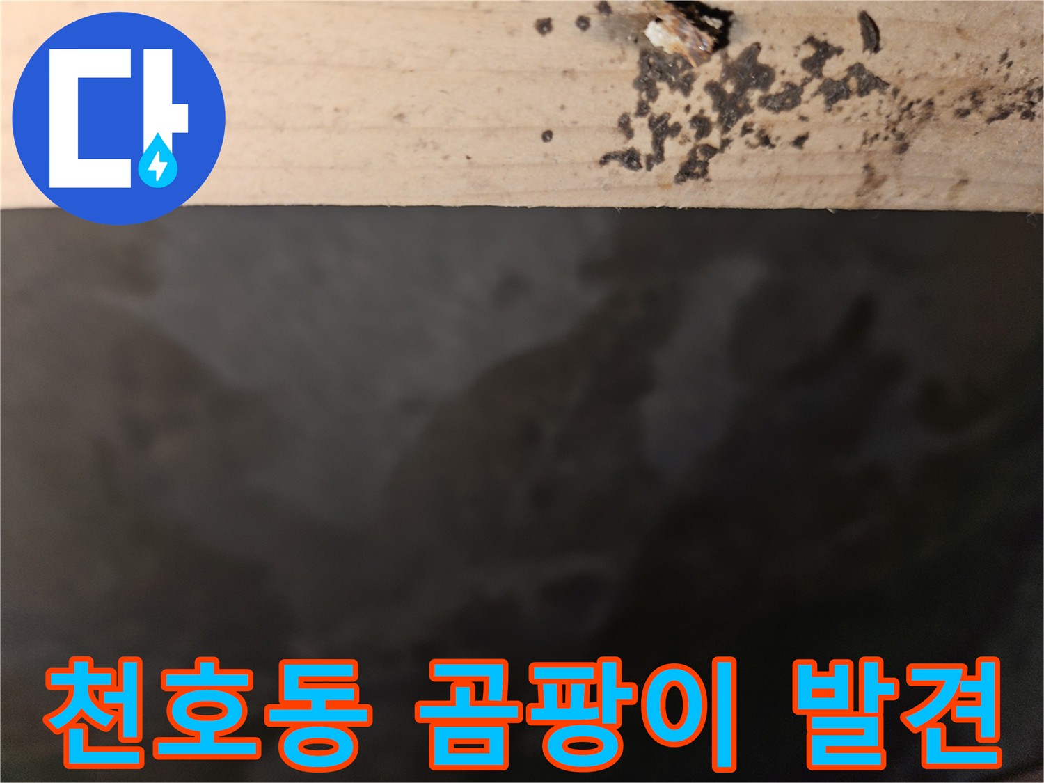 천호동 아파트 누수 - 곰팡이 초기 발견 - 빠른 조치 필요