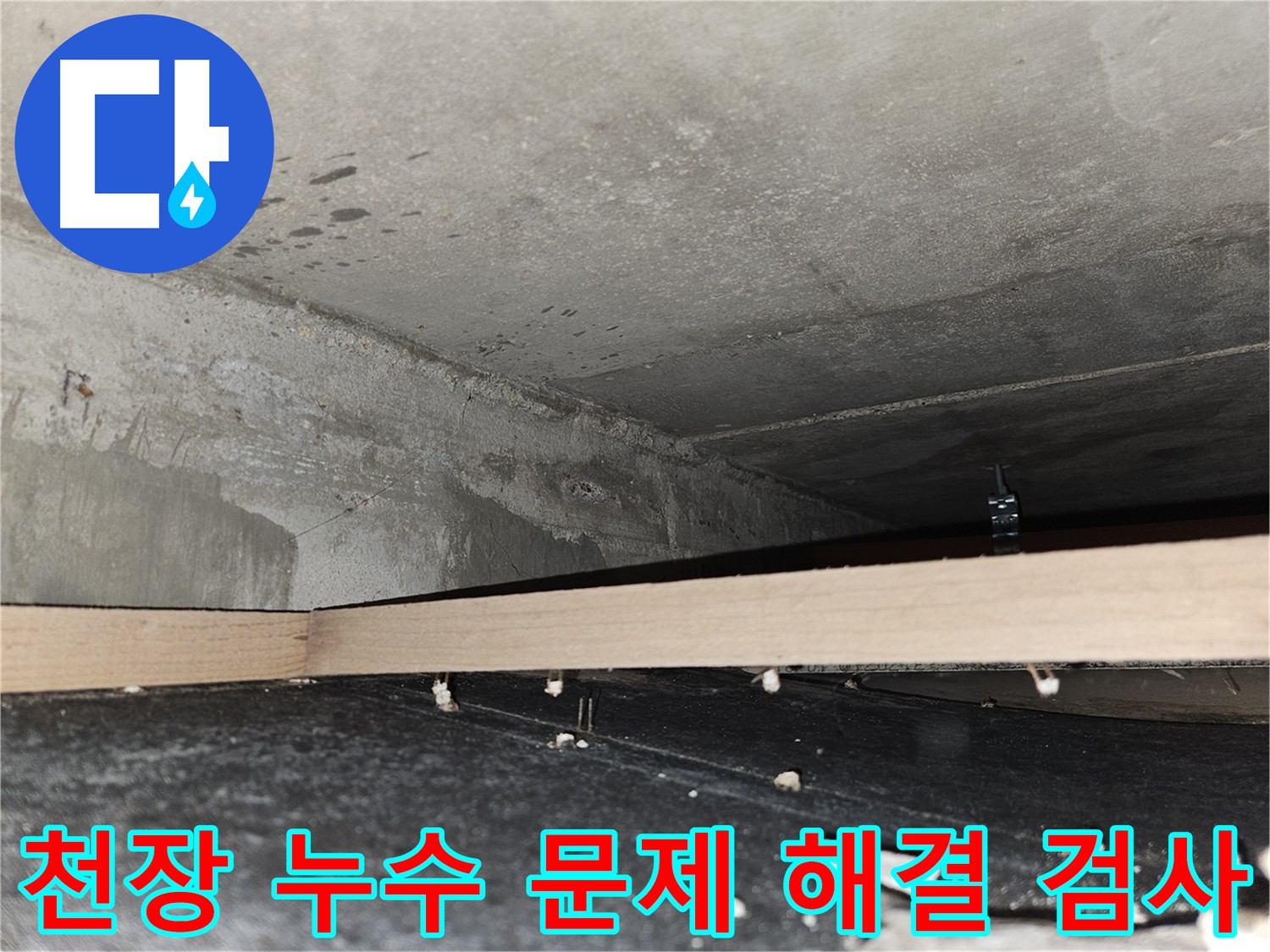 천호2동 아파트 천장 누수 검사 - 정밀 진단 및 해결 노력