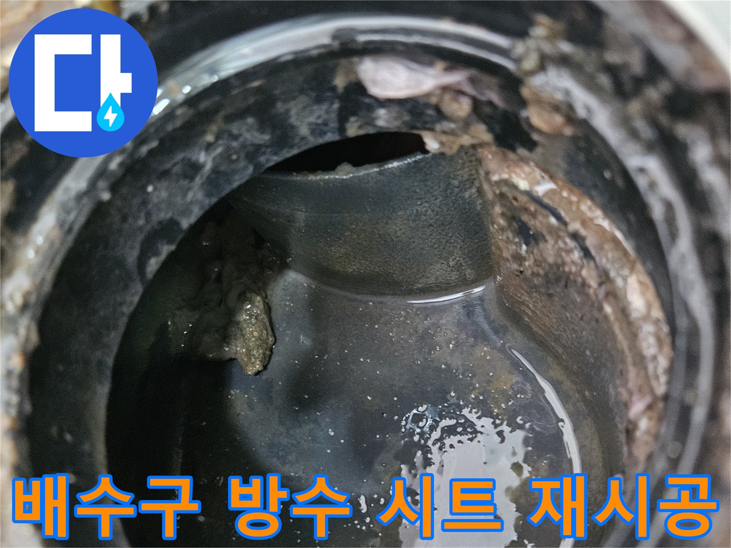 들뜬 배수구 방수 시트 제거 후 고품질 방수 시트 재시공