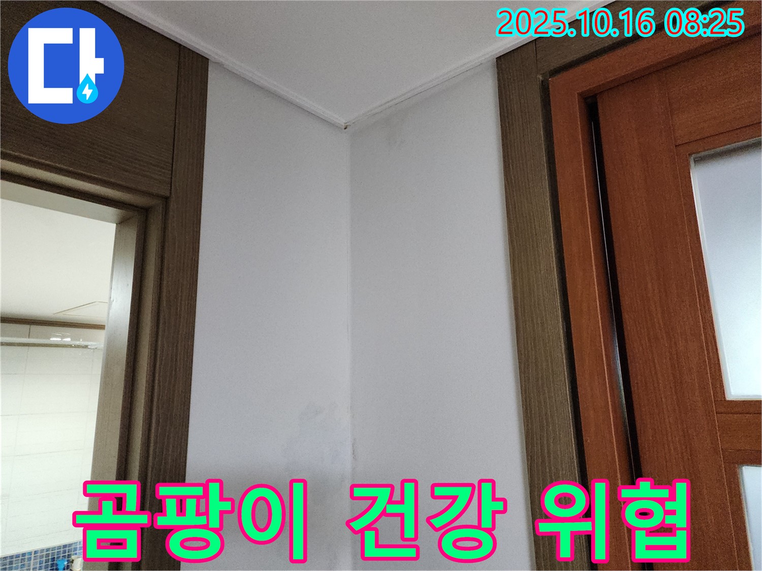 곰팡이 - 건강 위협 - 가족 건강 지키기