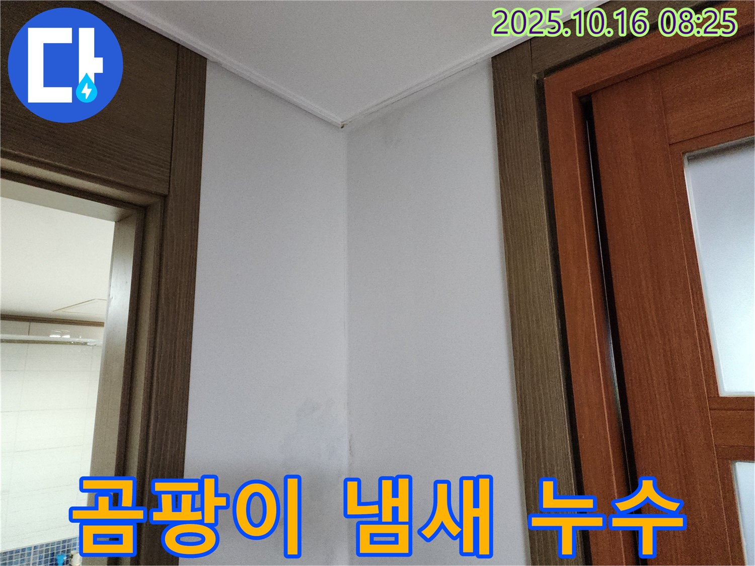 곰팡이 냄새 - 숨은 누수 적신호 - 쾌적한 환경 회복