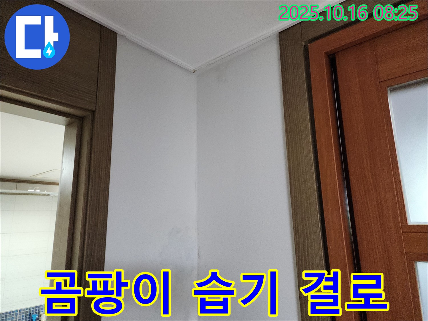 곰팡이 - 습기 - 결로 해결 - 쾌적한 환경 조성