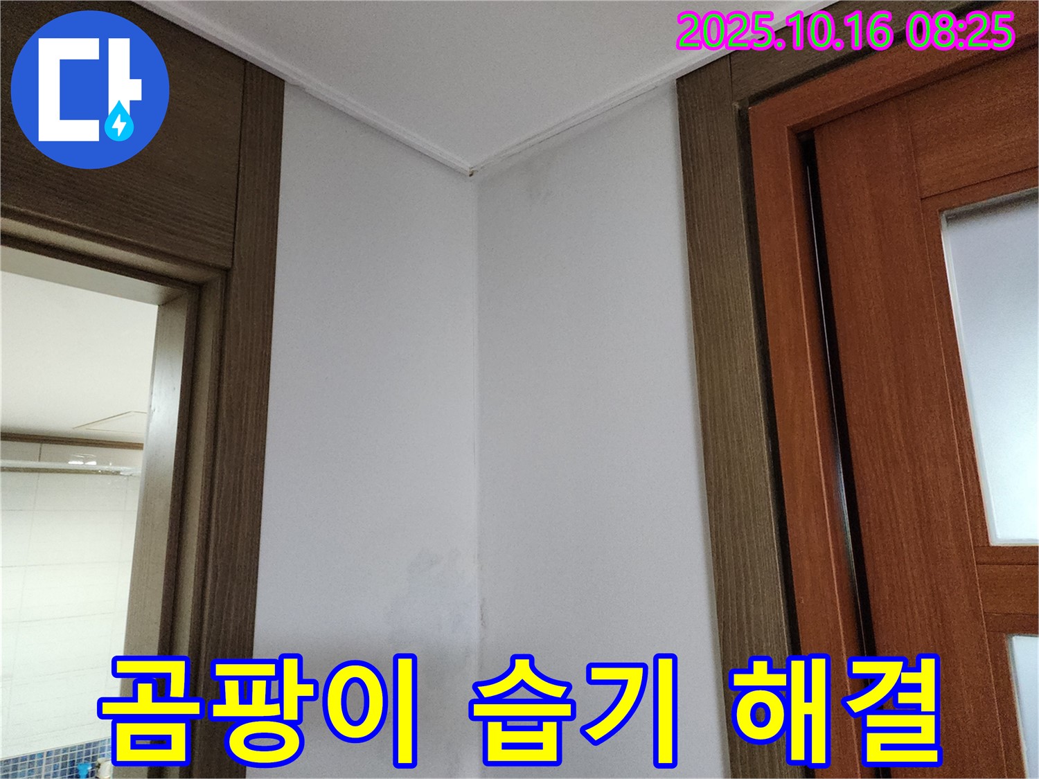 곰팡이 - 습기 문제 해결 - 쾌적한 주거 환경 조성