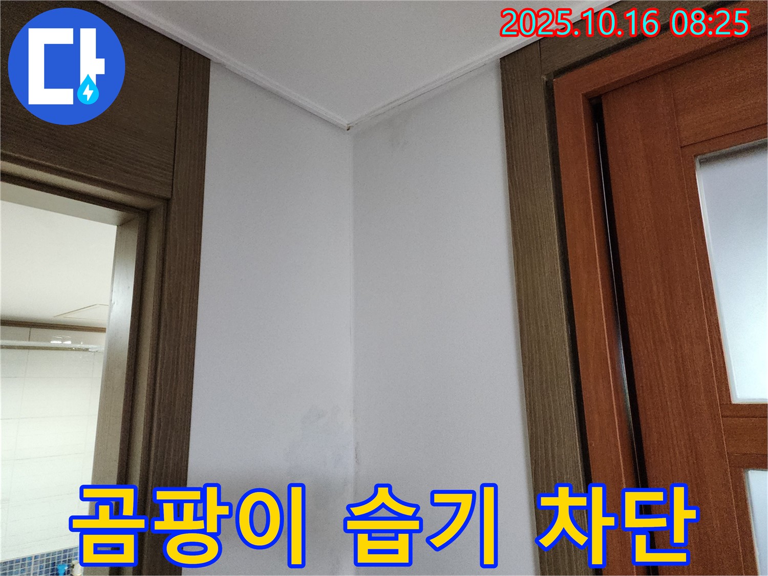 곰팡이 - 습기 완벽 차단 - 누수 공사 - 쾌적한 환경 조성