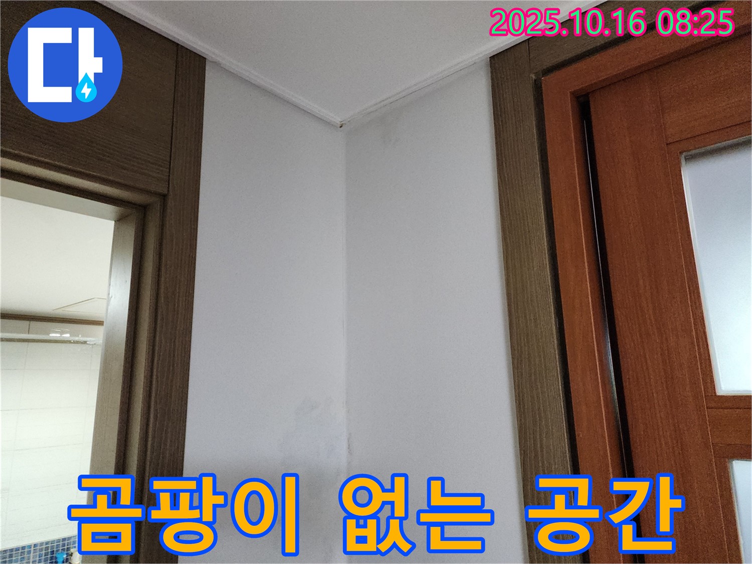 곰팡이 없는 깨끗한 공간 - 누수 공사 - 쾌적한 환경 조성
