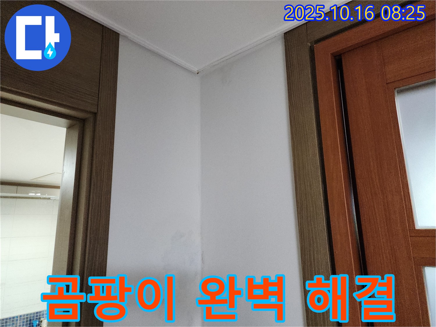 곰팡이 완벽 해결 - 누수 문제 해결 - 쾌적한 공간