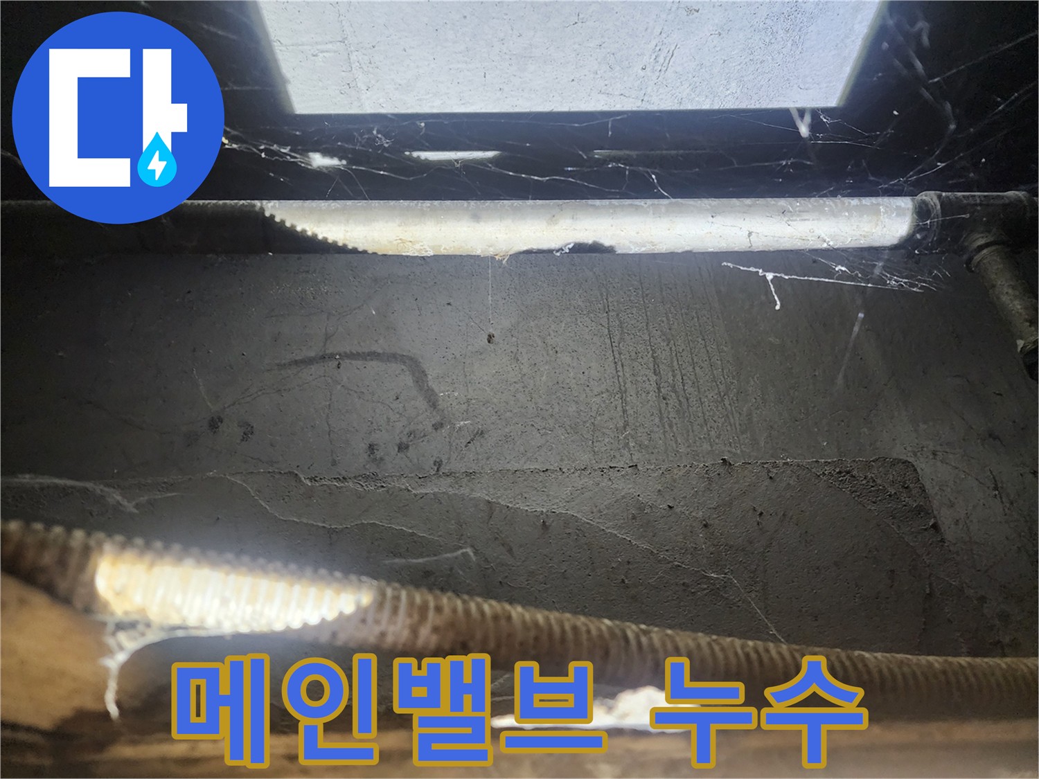 구로구 누수 현장 - 메인 밸브 교체로 수도 요금 폭탄 해결