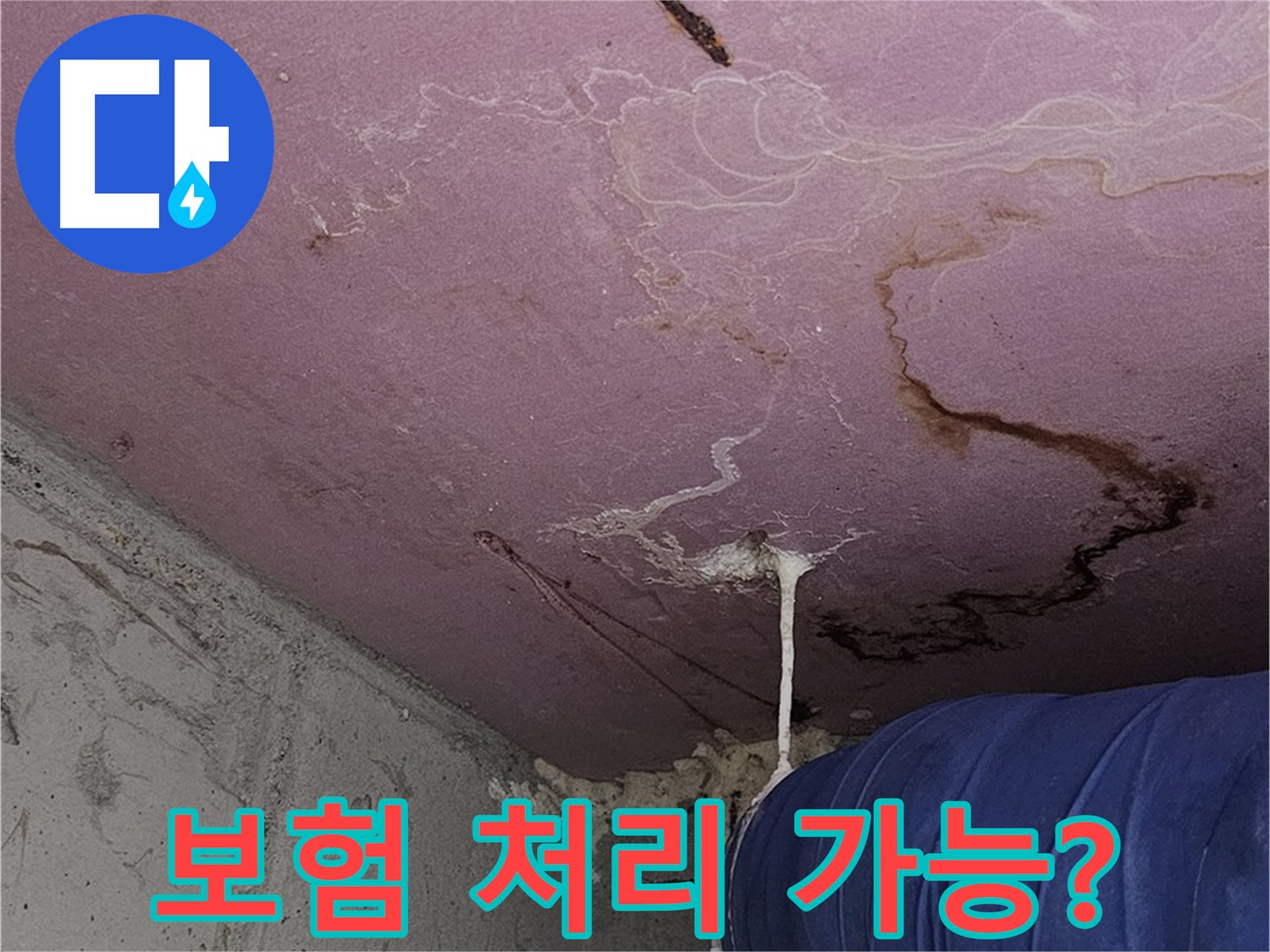 양천구 신월동 누수탐지 및 보험 처리 상담 - 누수 피해 보상 지원