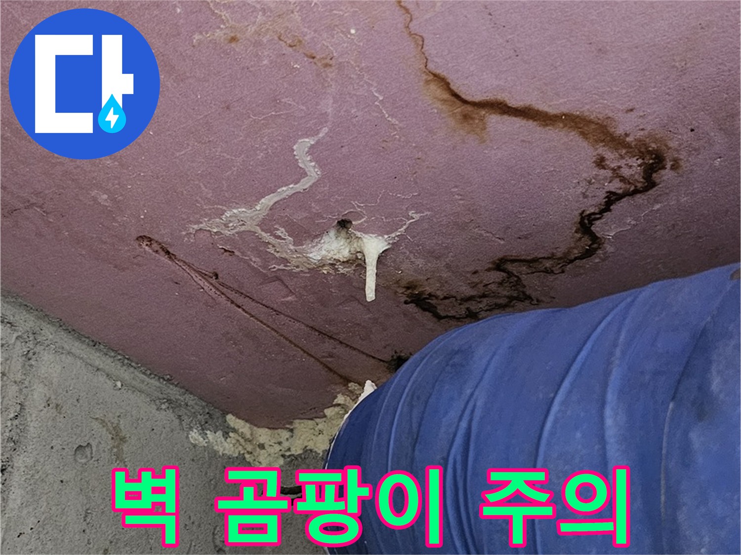 벽 곰팡이 사진 - 누수 심각성 및 건강 위협