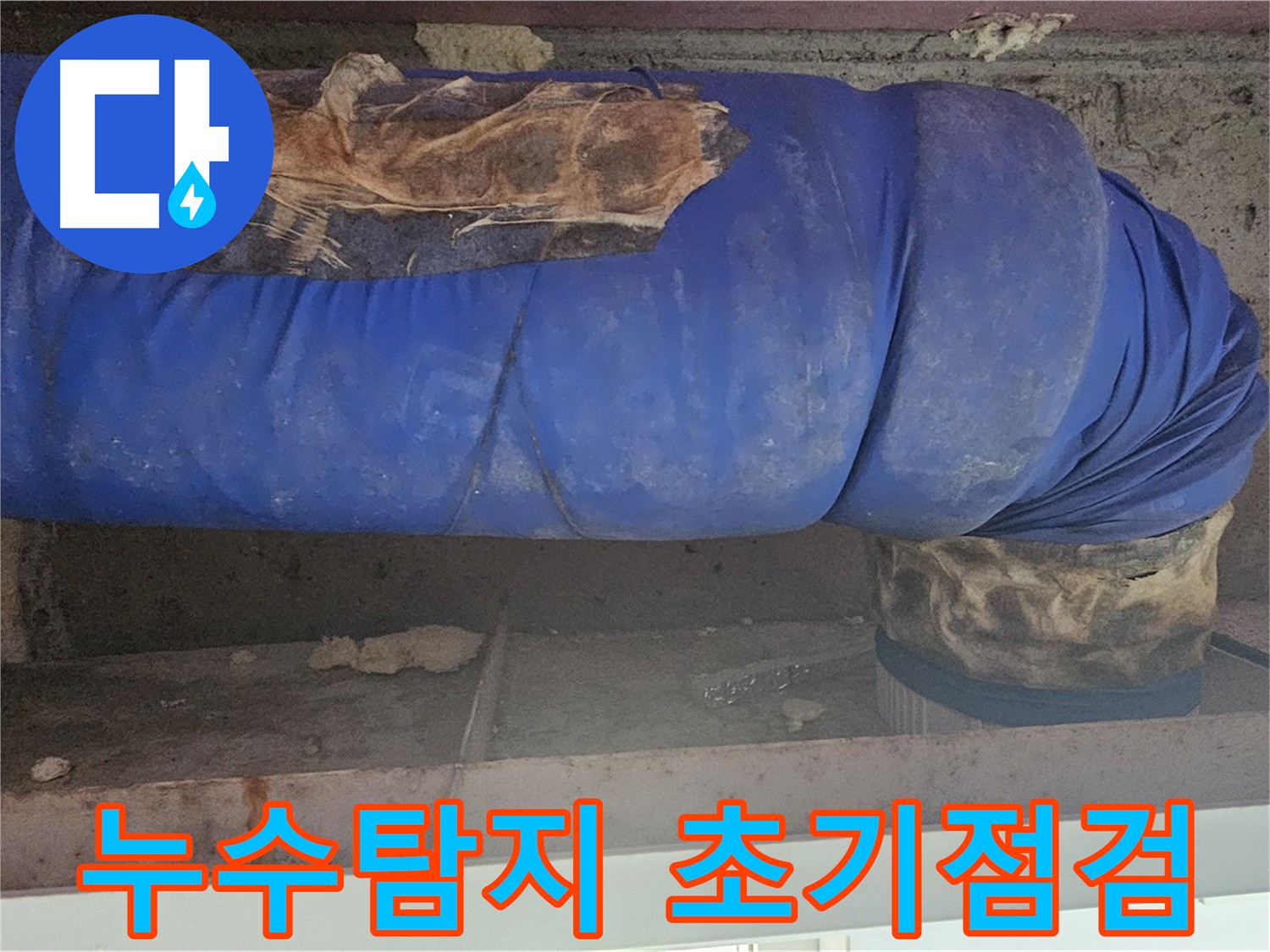 양천구 신월동 천장 누수 현장 방문 - 누수 범위 및 피해 상황 점검