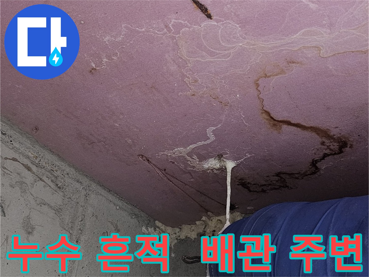 양천구 신월동 누수 - 위층 화장실 또는 베란다 누수 의심