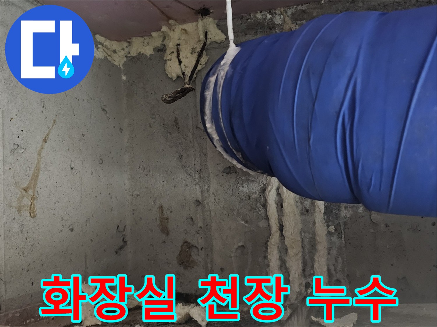 아랫집 화장실 천장과 벽체 누수 피해 사진 - 양천구 신월동 누수 현장