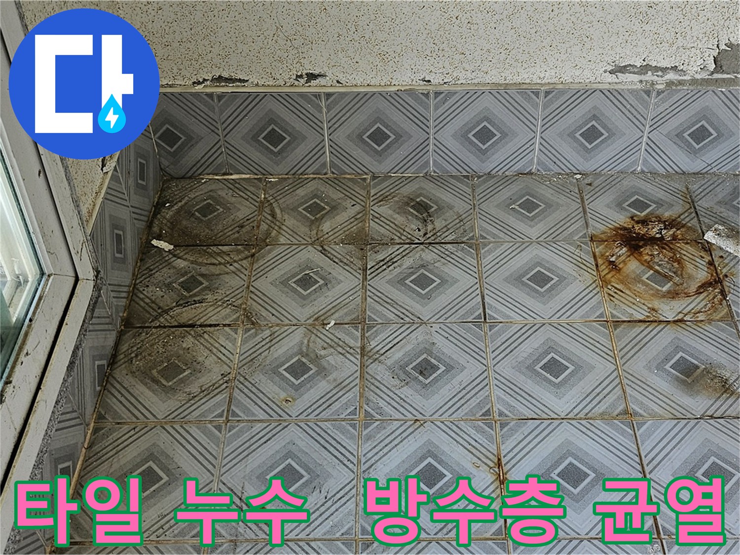 양천구 신월동 누수탐지 현장 - 방수층 균열 확인