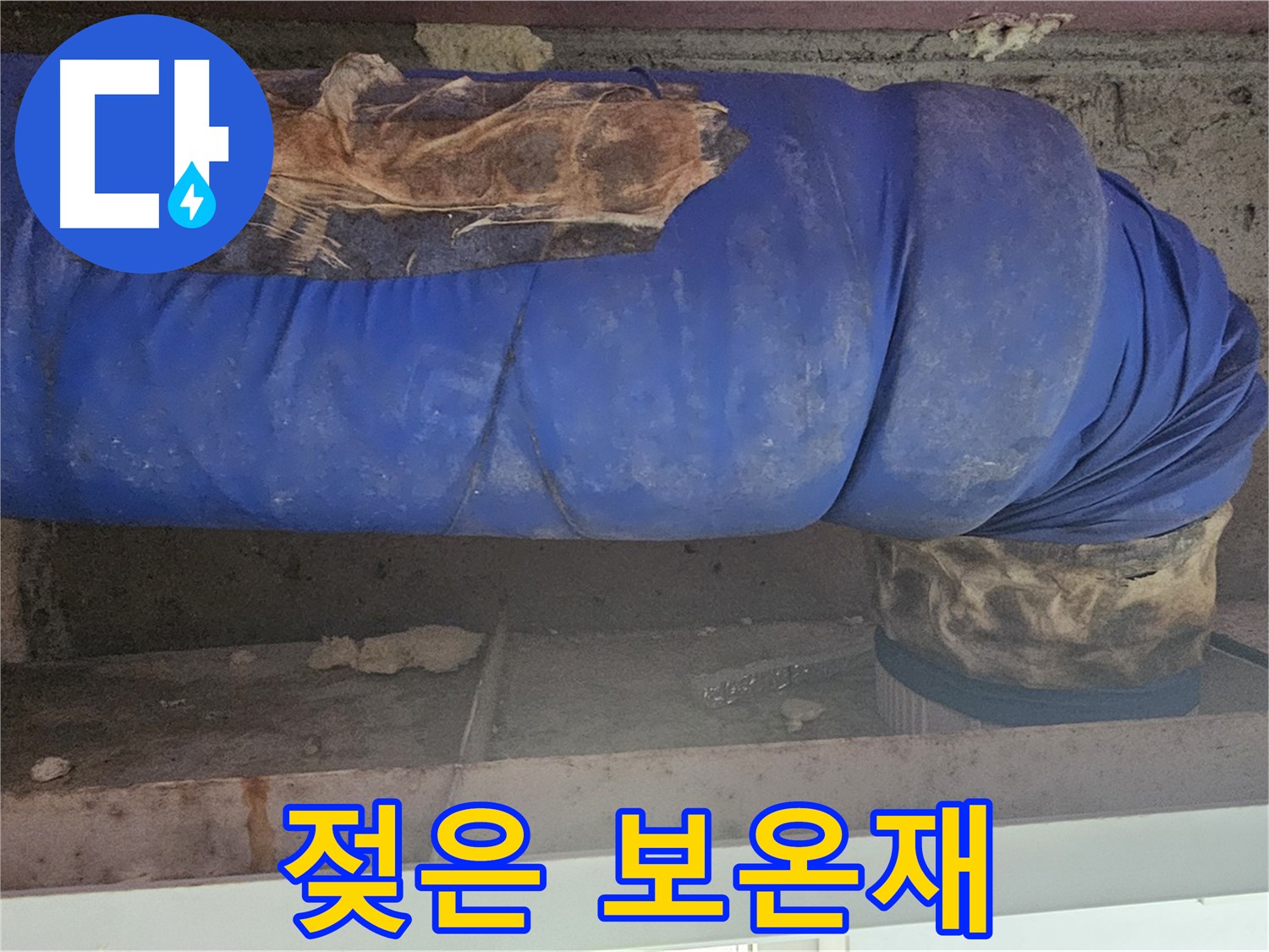양천구 신정동 누수 - 젖은 배관 보온재 상세 촬영 및 누수 지점 확인
