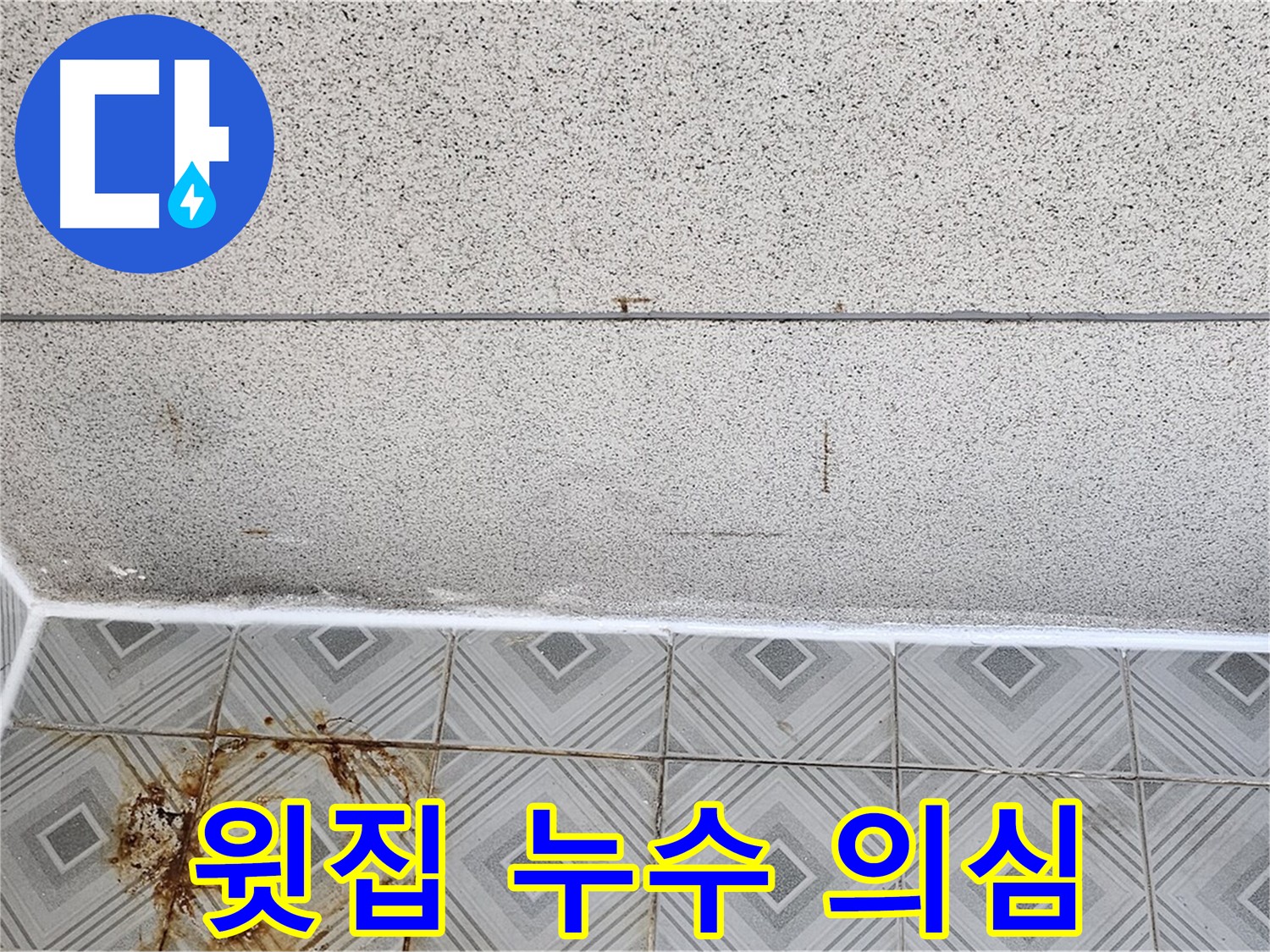 윗집 누수 의심되는 천장 누수 현장 - 신정동 누수 탐지
