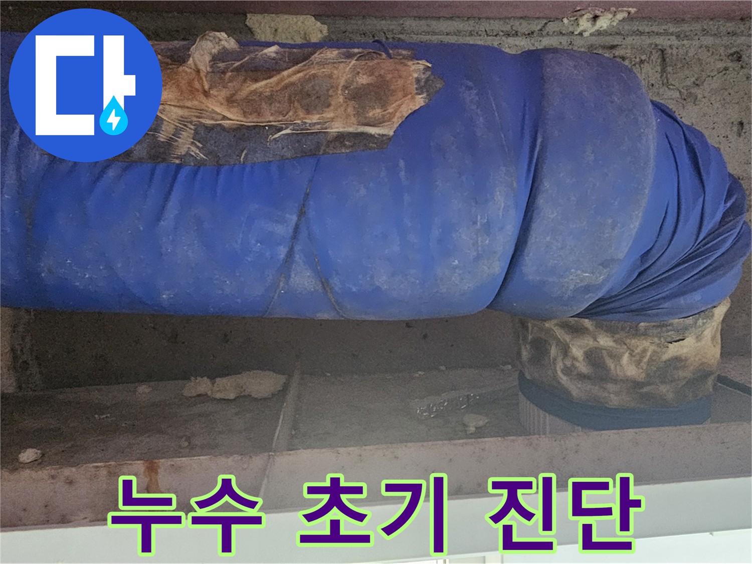 신월동 누수 - 천장 누수 피해 상황 점검
