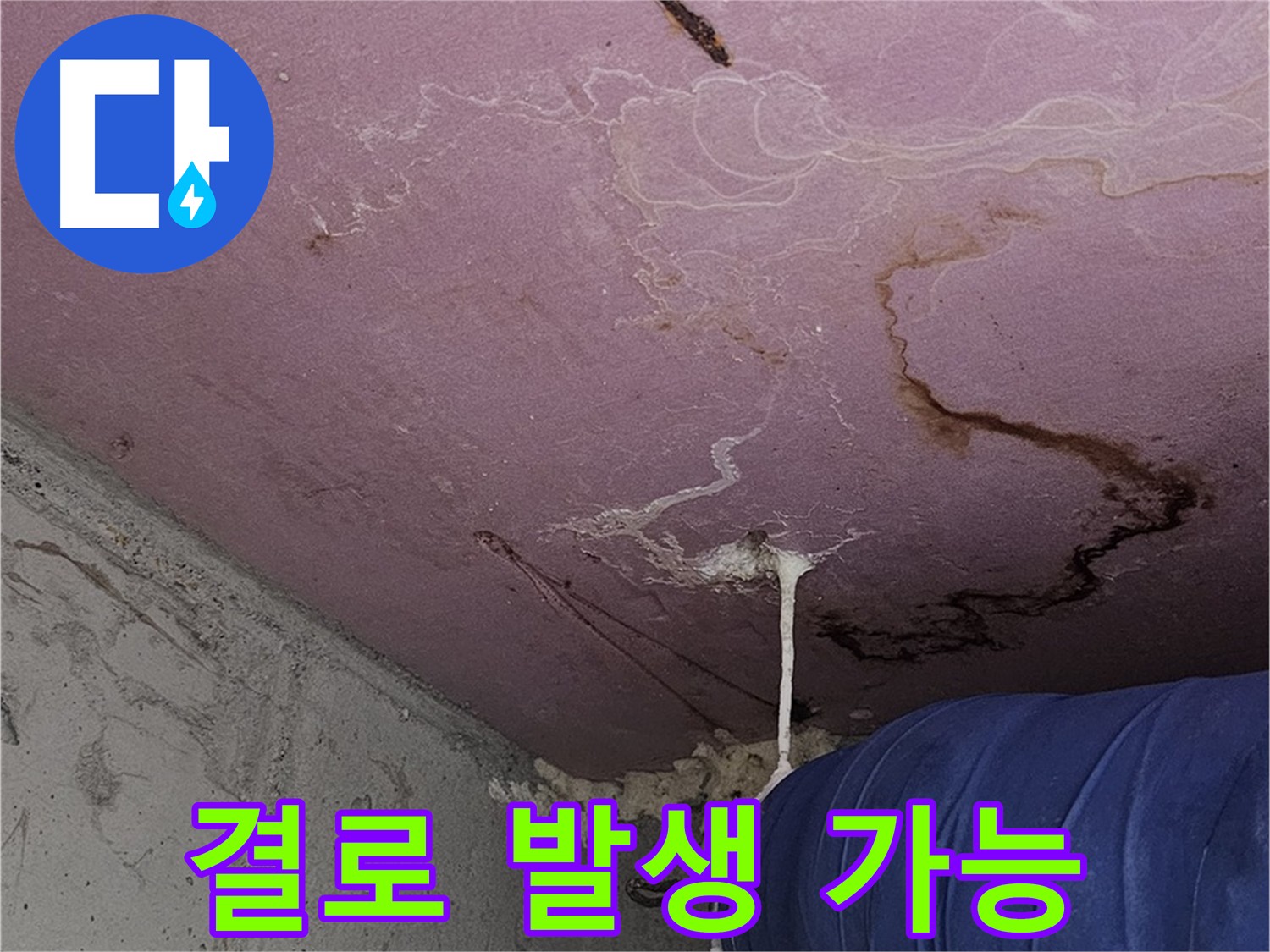 신월동 양천구 결로 방지 시공 - 겨울철 누수 및 결로 문제 해결
