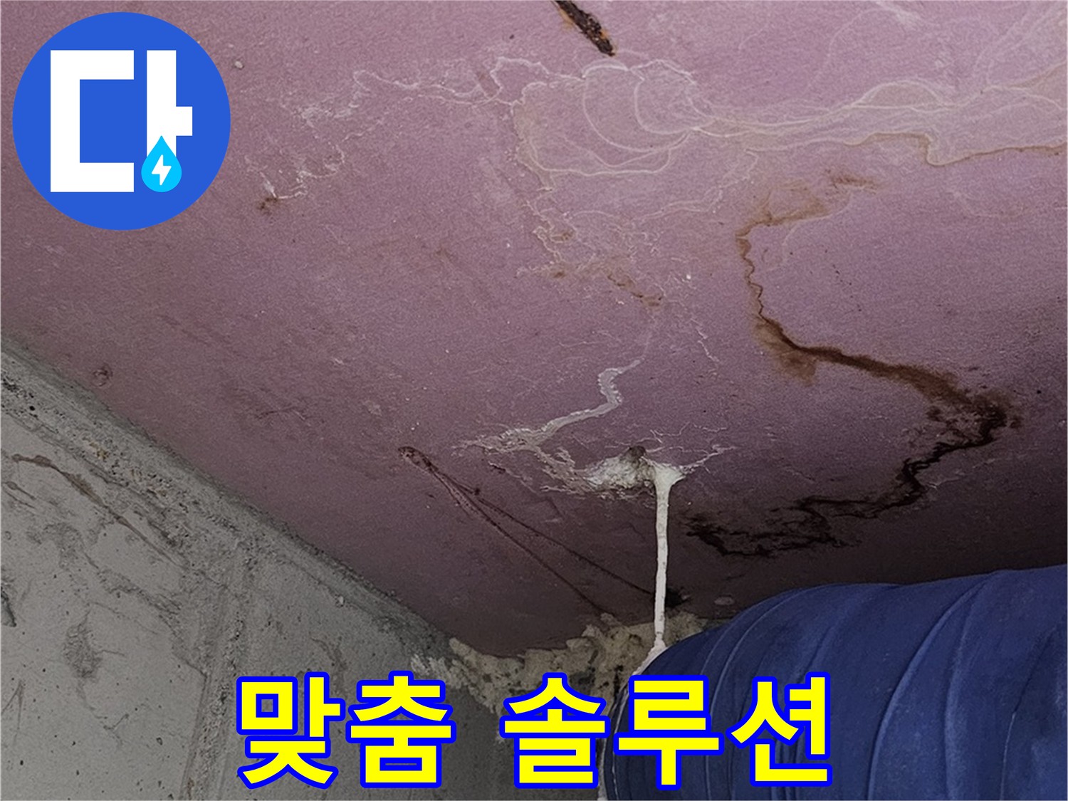 양천구 신월동 맞춤형 누수 해결 - 꼼꼼한 진단과 최적화된 솔루션