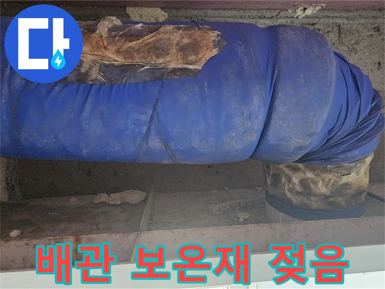 양천구 신정동 누수 - 배관 보온재 젖음 상태 확인 및 누수 원인 분석