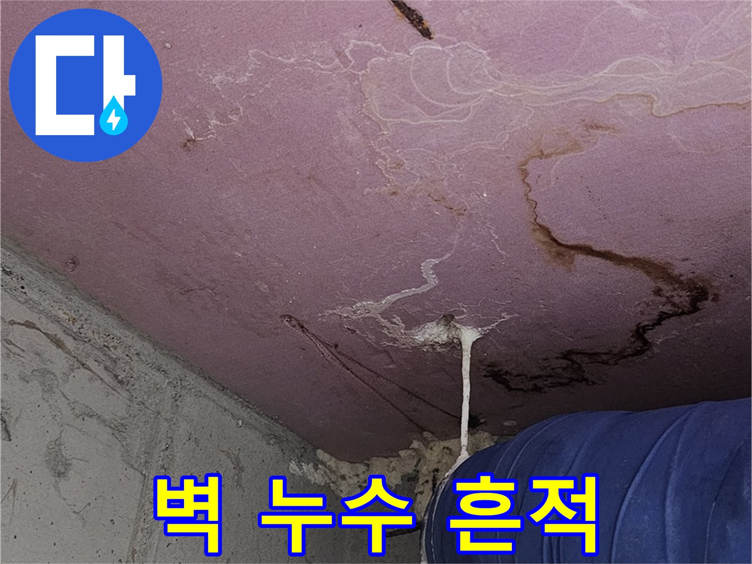 양천구 신정동 누수 - 벽에 스며든 물 자국