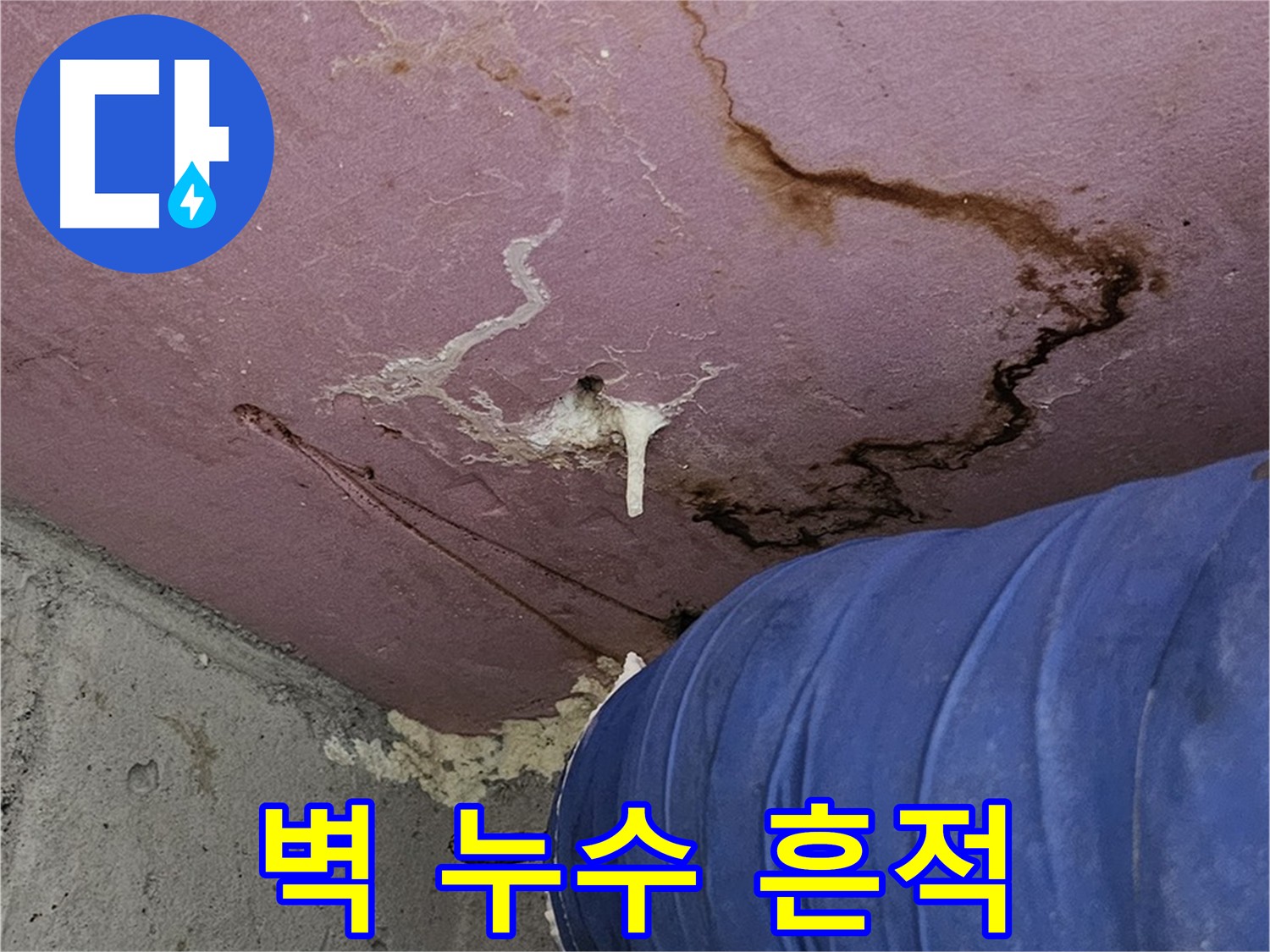 벽에 스며든 물 - 누수 긴급 점검 필요