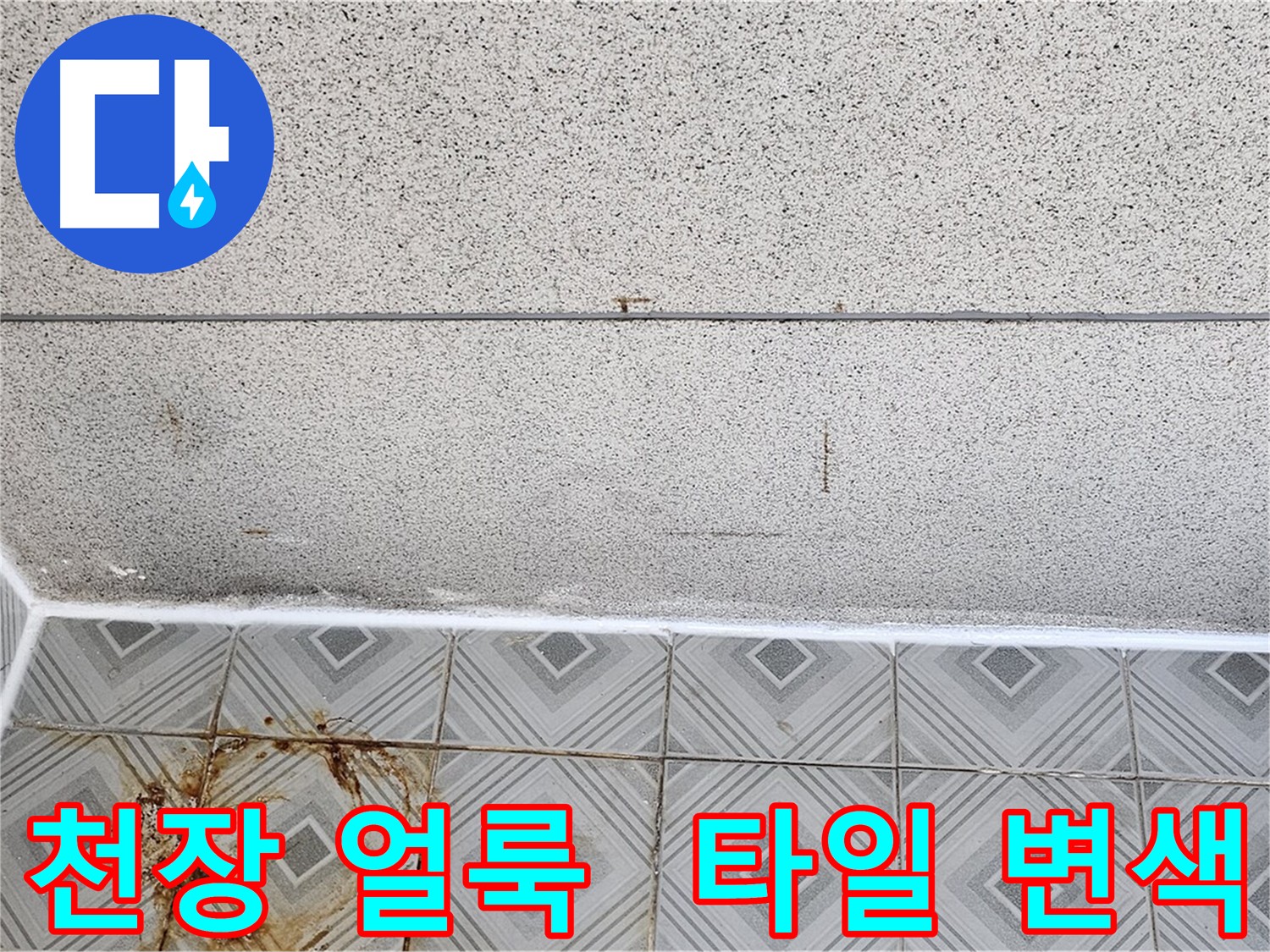 양천구 신정동 누수 - 천장 얼룩과 타일 변색으로 누수 확인
