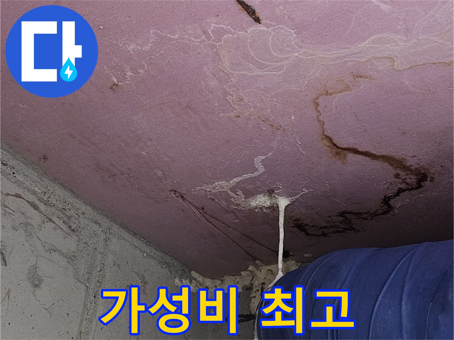 신월동 양천구 합리적인 누수 견적 - 최고의 누수 해결 서비스 제공