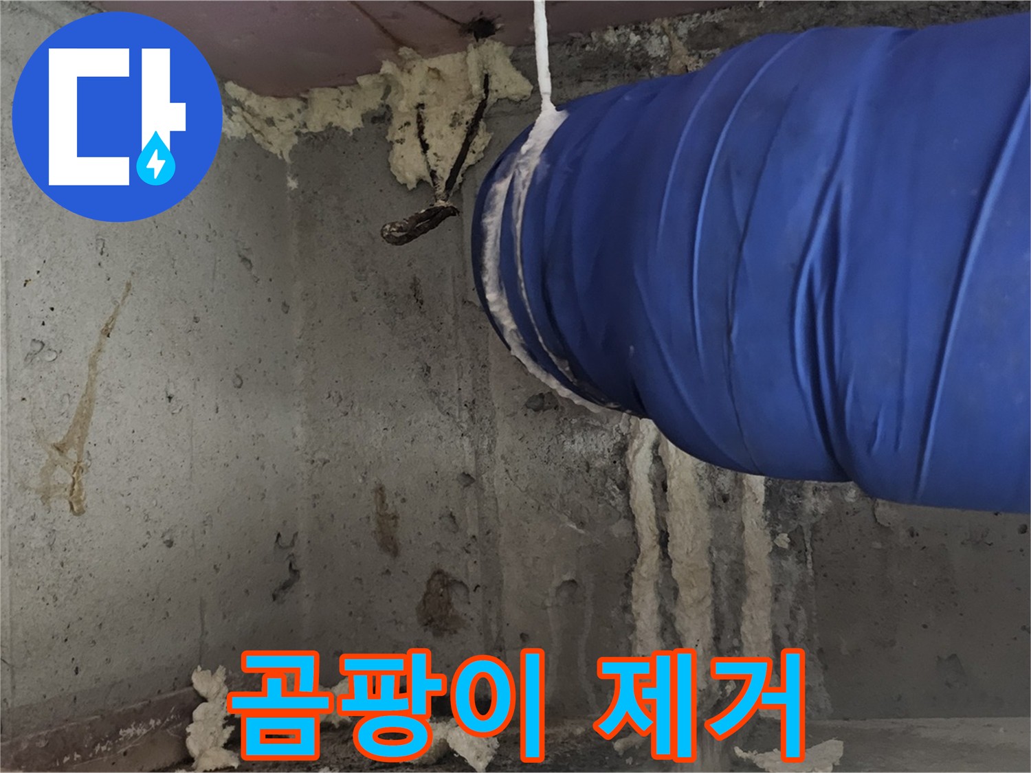 누수 공사 후 곰팡이 제거 서비스 제공 - 깨끗하고 쾌적한 환경 조성
