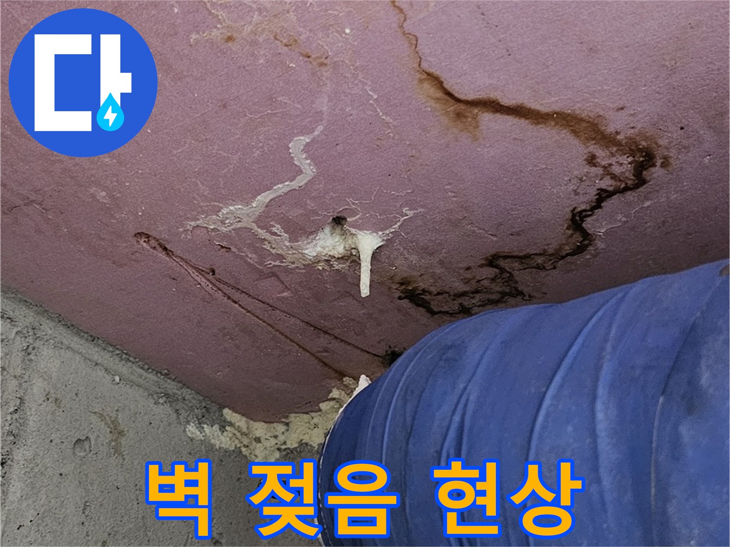 벽 젖음 현상 사진 - 누수 의심 및 건강 위협