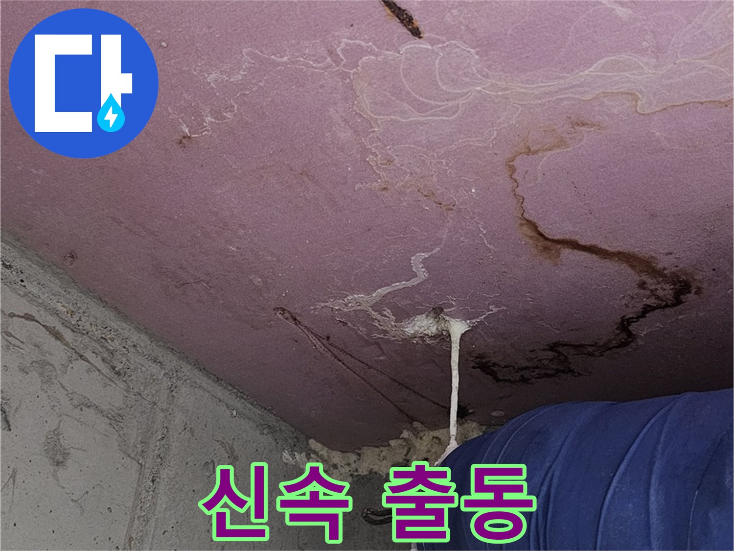 양천구 신월동 누수 발생 시 긴급 출동 - 신속한 문제 해결 지원