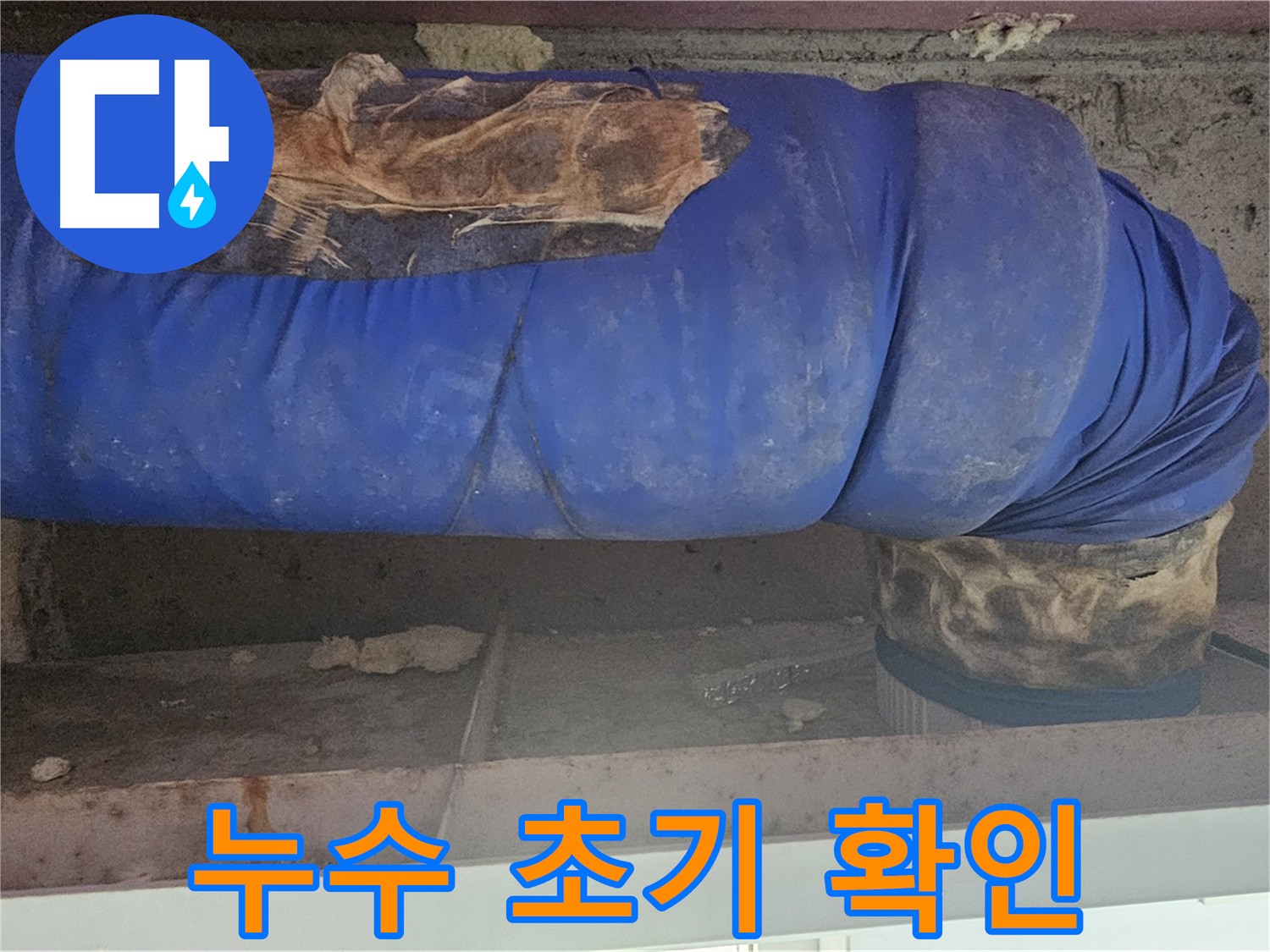 양천구 신월동 누수 - 긴급 점검 및 누수 범위 확인