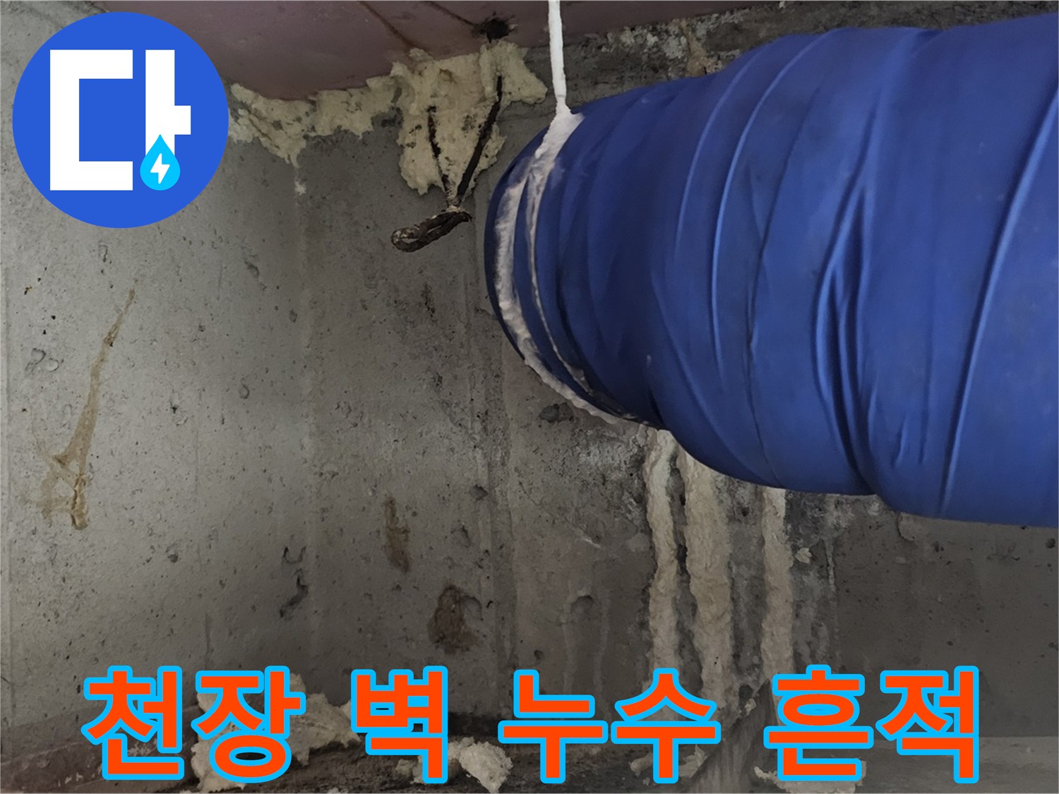 아랫집 화장실 천장과 벽 누수 흔적 - 신월동 누수 원인 탐지 및 보수