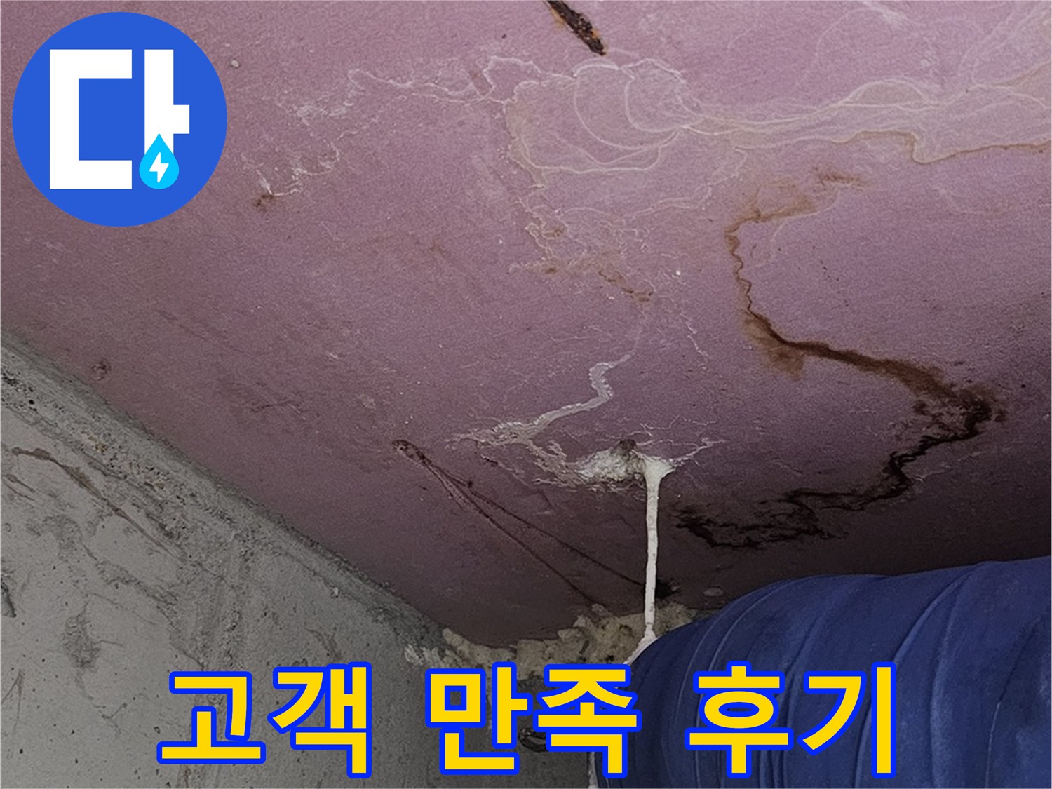 양천구 신정동 누수 - 고객 만족 누수 해결 후기