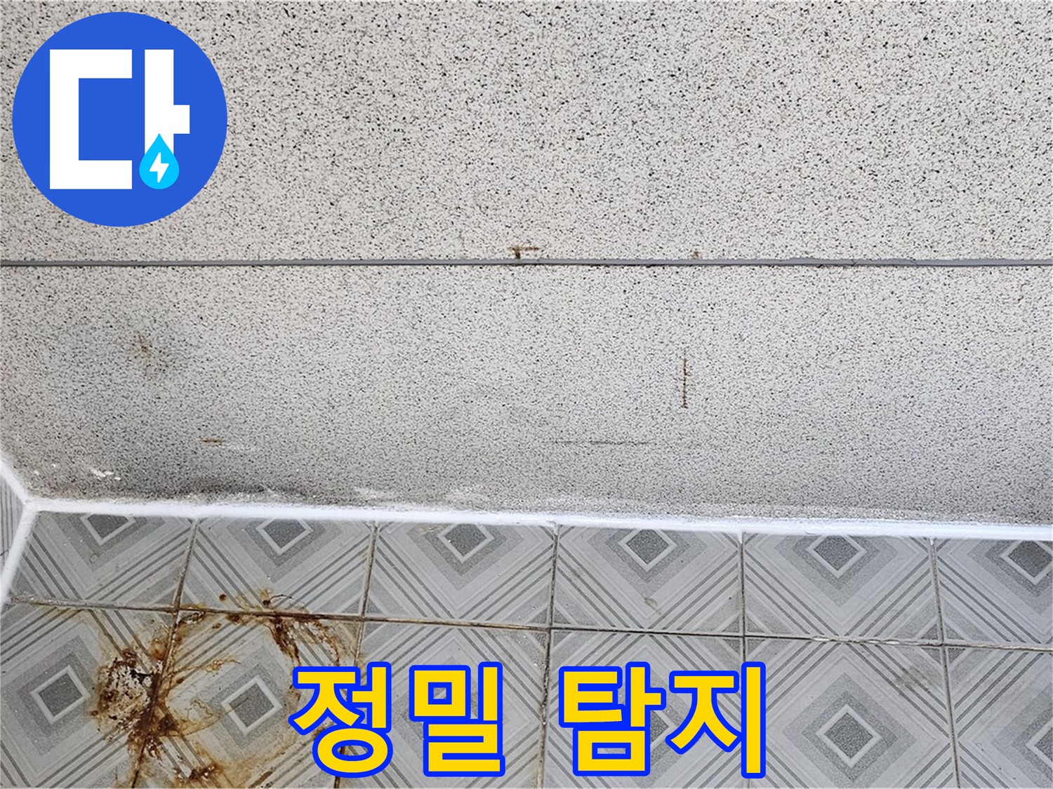 최첨단 장비 이용 누수 탐지 - 양천구 누수 해결