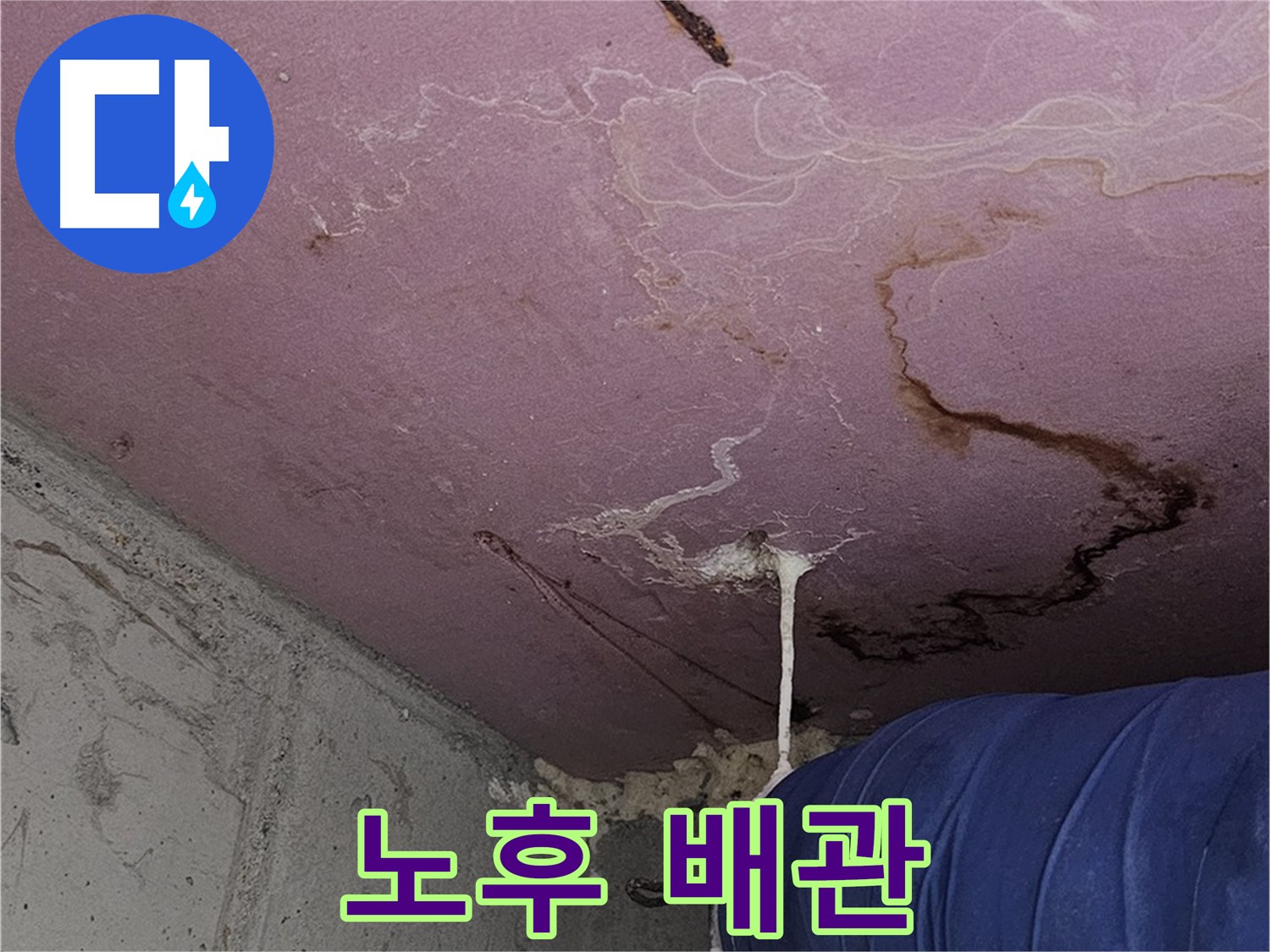 신정동 양천구 누수 - 노후된 건물 배관 점검 필요
