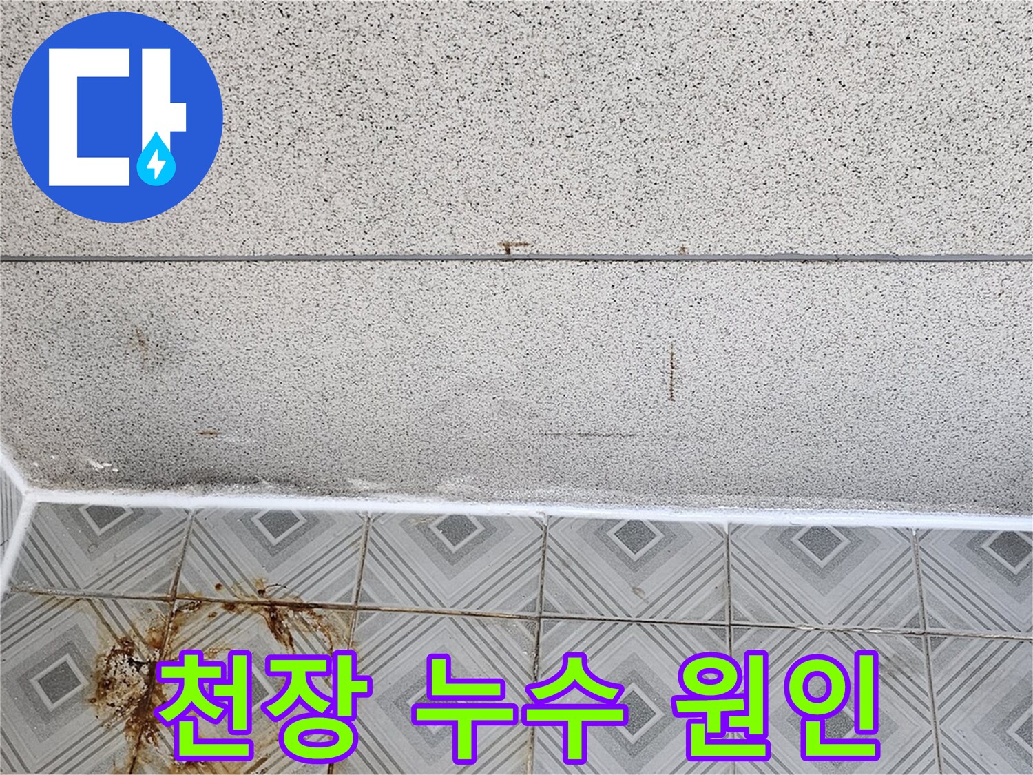 아파트 천장 누수 - 윗집 누수 여부 확인 - 신정동 누수