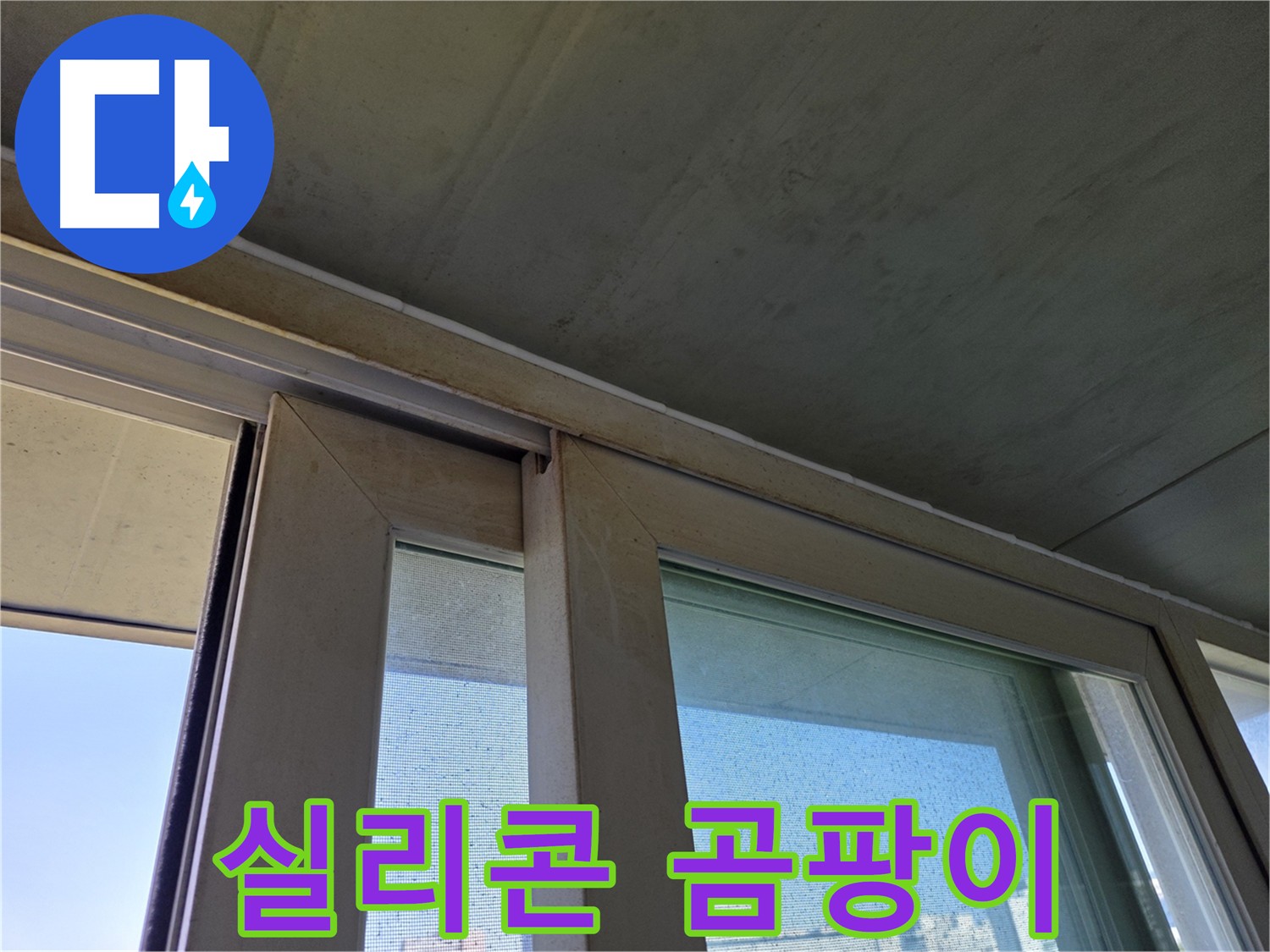 신정동 양천구 창틀 누수 원인 - 실리콘 곰팡이 오염 확인