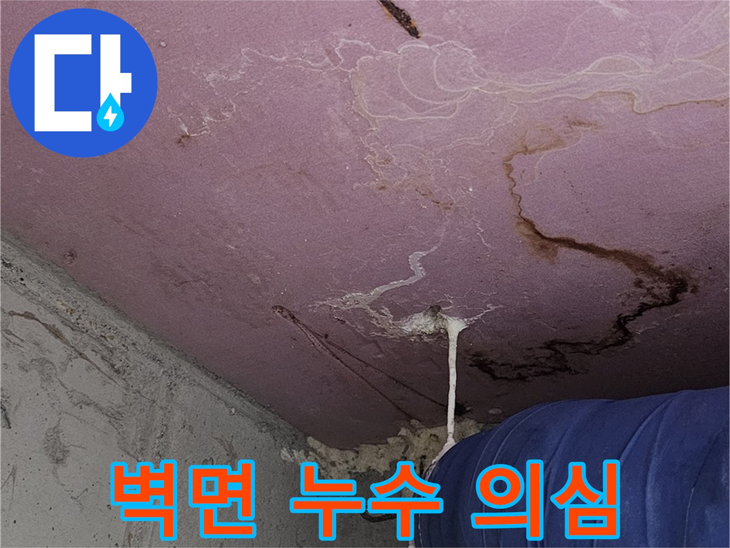 양천구 신월동 누수 - 벽면 누수, 곰팡이 발생 원인