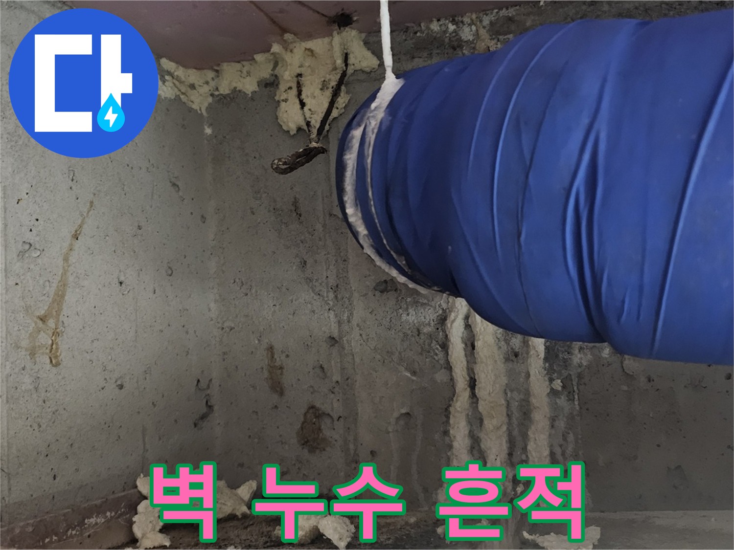 아랫집 화장실 벽 누수 - 양천구 신월동 누수, 곰팡이 및 벽지 젖음